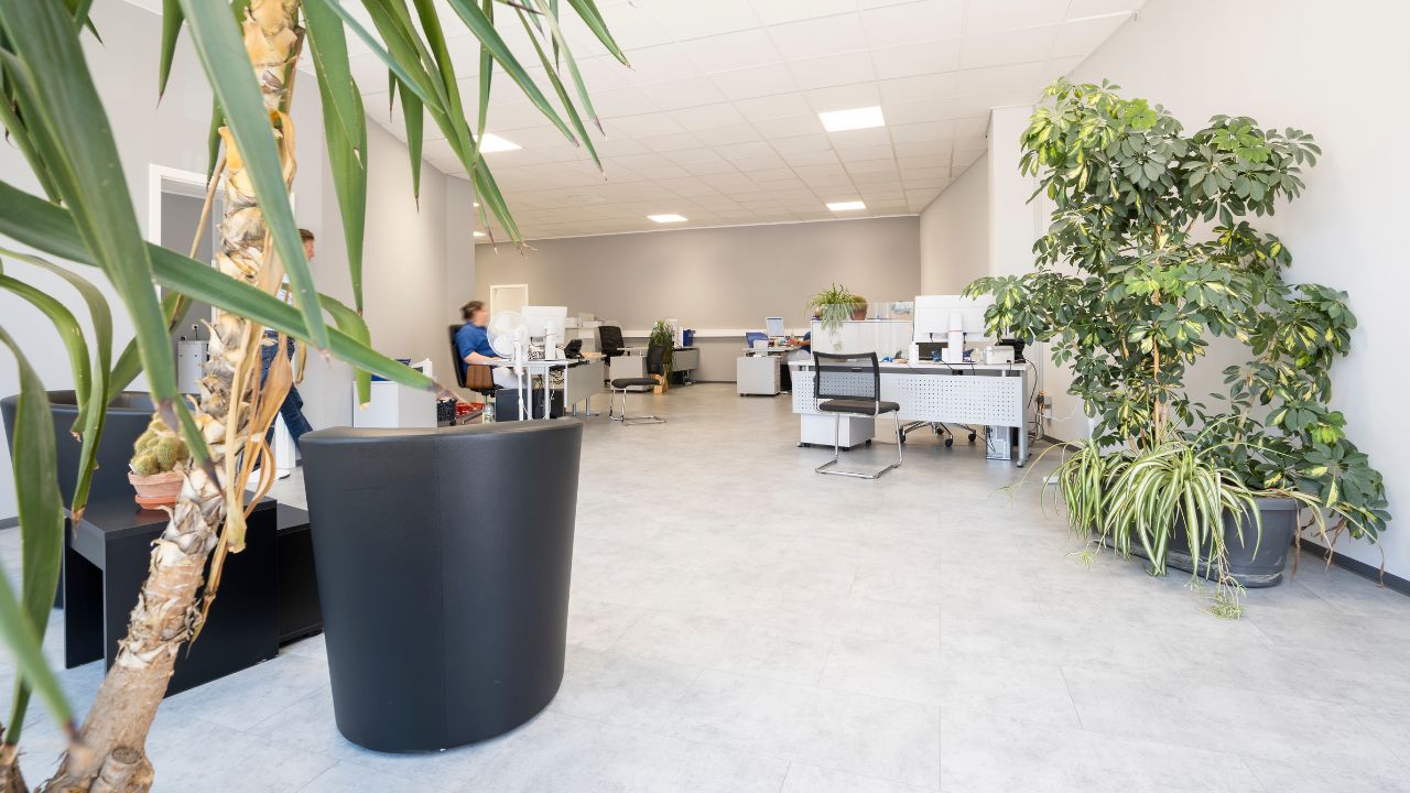 pflege-sanitas-galerie-07 Pflege Sanitas Büro