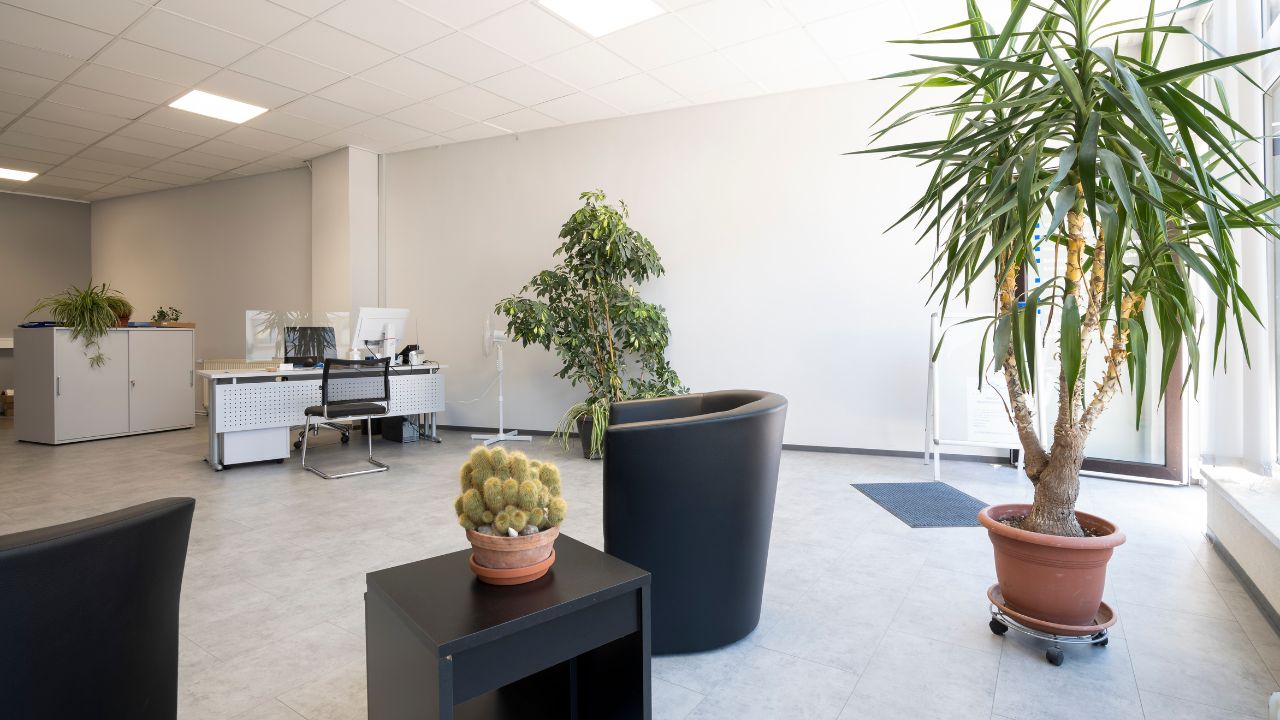 pflege-sanitas-galerie-08 Pflege Sanitas Büro